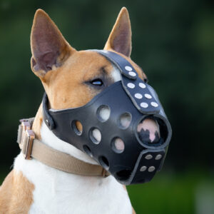 Muzzle - classic hannibal